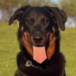 Aktuální obrázek nemá žádný alternativní popis. Název souboru je: IMG_1437.jpg